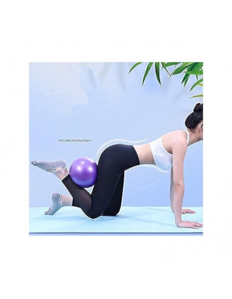 Balón de Yoga Pilates  25 cm uso practico gympro.cl
