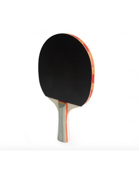 Set Ping Pong Paletas Pelotas y Soporte Red Ping Pong